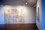 Vue in situ Exposition Anh Duong  La mariée mise à nu par les célibataires / 20 septembre   30 octobre 2001 / Galerie Jérôme de Noirmont.